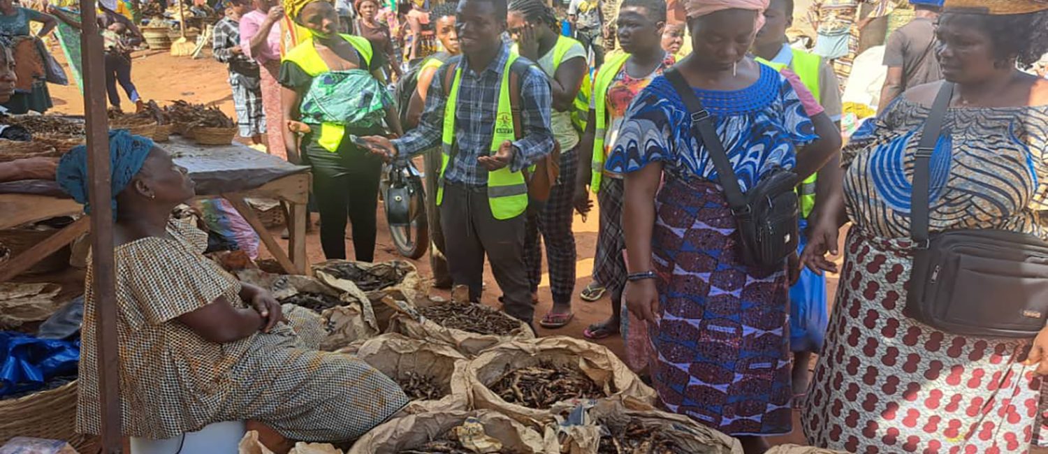 Les VEC en action de sensibilisation