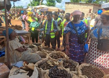 Les VEC en action de sensibilisation