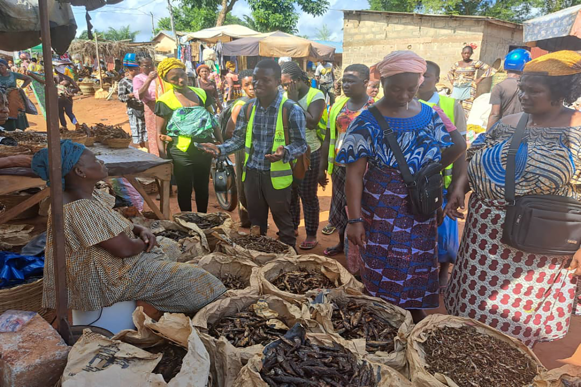 Les VEC en action de sensibilisation