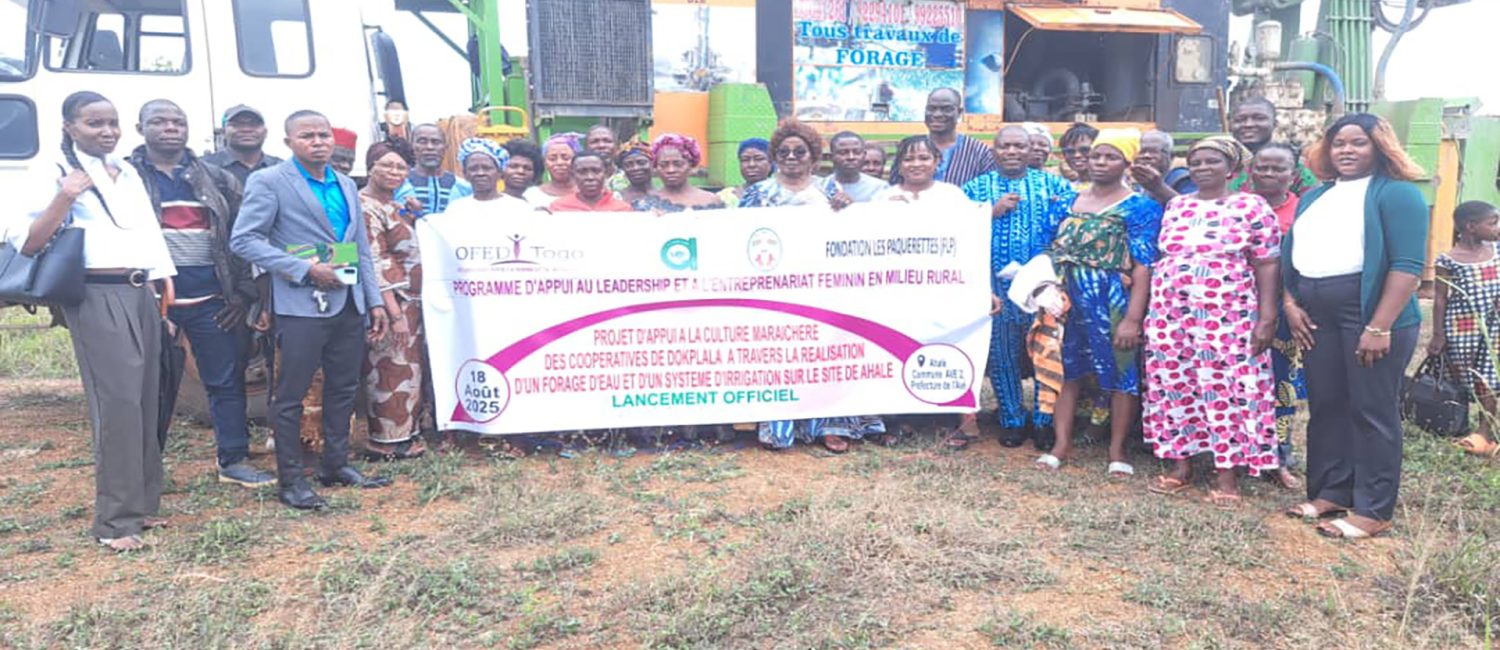 Remise officielle du site pour la réalisation d’un forage et d’un système d’irrigation à Ahalé, commune Avé 2